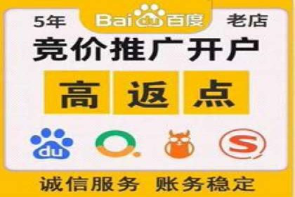 行业领先SEM托管代运营案例